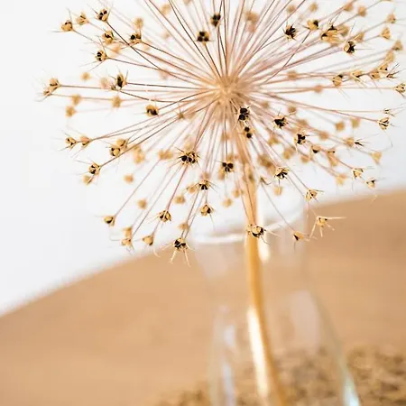 Superior Metro Centrum By Bookinghost Apartment